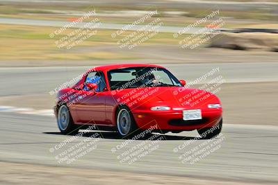 media/May-24-2025-Turn8 Trackdays (Sat) [[034586b55d]]/5 Inter 1/Session 2 (Cotton Corners-Grapevine)/
